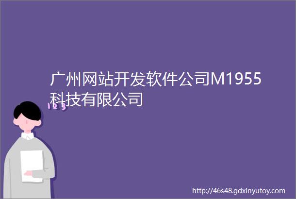 广州网站开发软件公司M1955科技有限公司